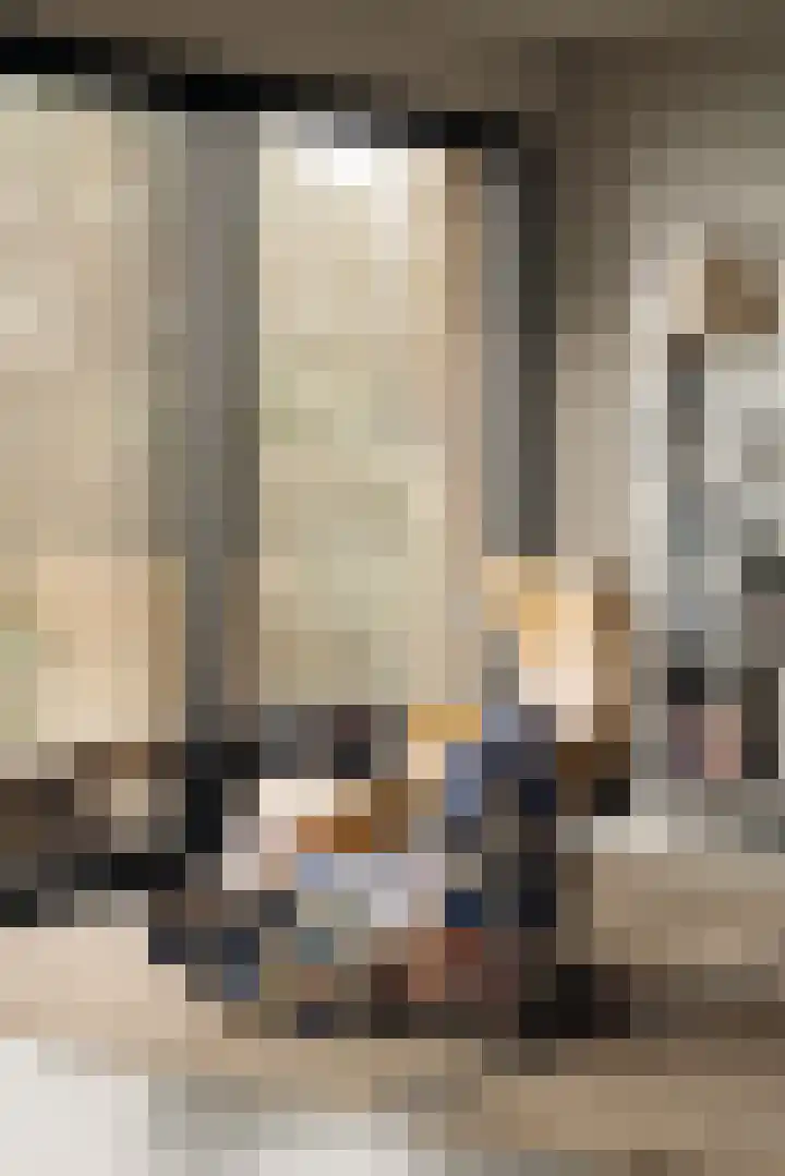 Smalschipstraat 31 Amsterdam thumbnail 14