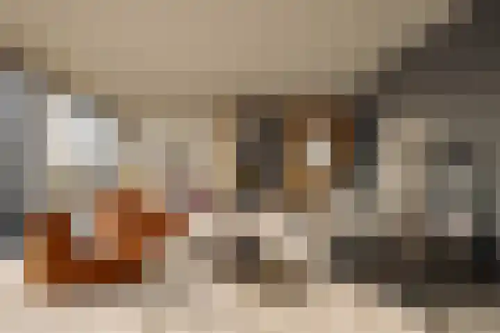 Smalschipstraat 31 Amsterdam thumbnail 16