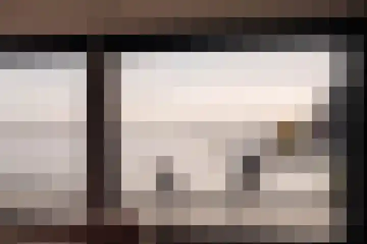 Smalschipstraat 31 Amsterdam thumbnail 37