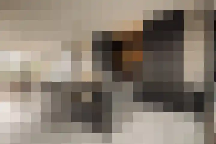 Smalschipstraat 31 Amsterdam thumbnail 4