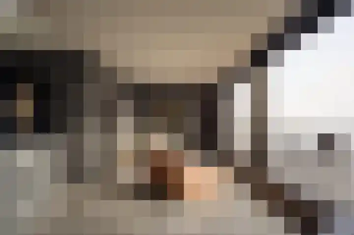 Smalschipstraat 31 Amsterdam thumbnail 5