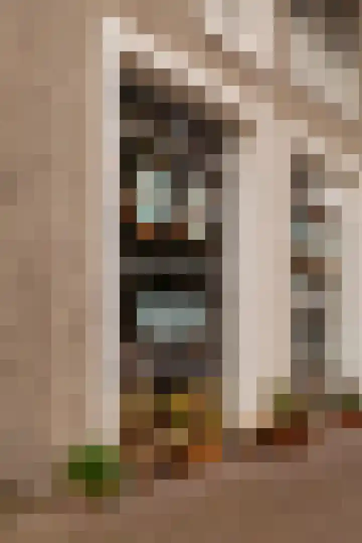 Smalschipstraat 31 Amsterdam thumbnail 51