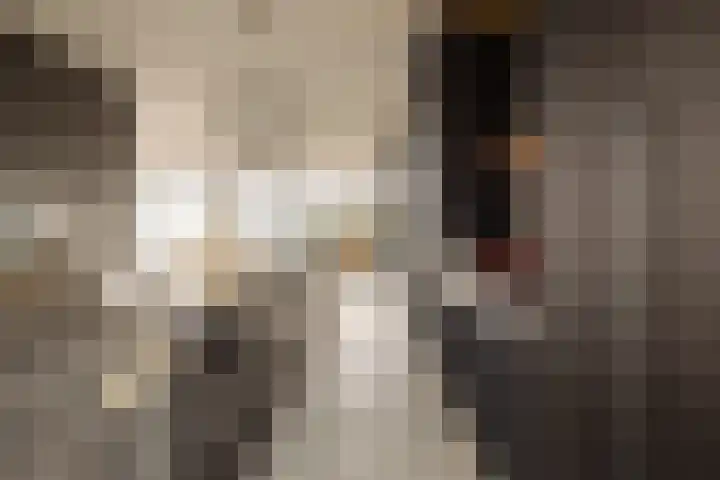 Smalschipstraat 31 Amsterdam thumbnail 9