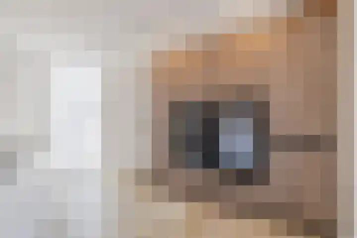 Smaragd 13 Venlo thumbnail 18