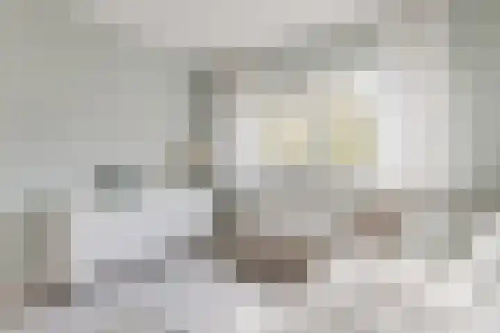 Smaragd 13 Venlo thumbnail 32