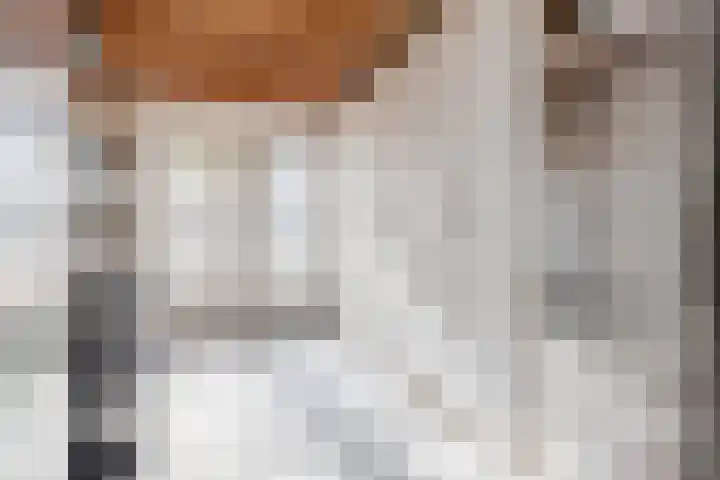 Smaragd 13 Venlo thumbnail 42
