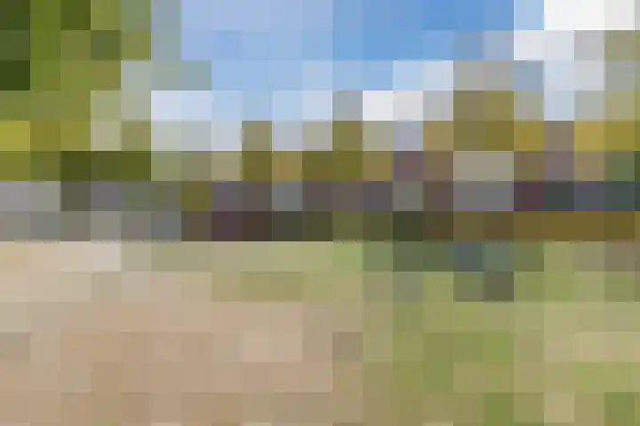 Smaragd 13 Venlo thumbnail 56