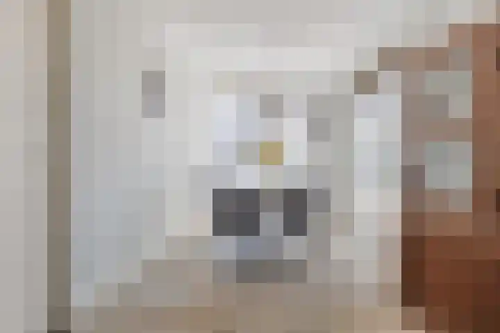 Smaragd 13 Venlo thumbnail 7