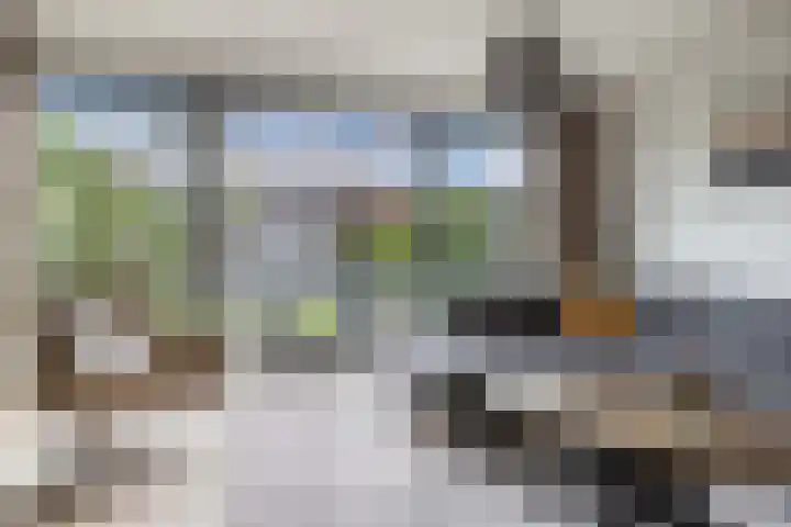 Smaragd 16 Drachten thumbnail 13