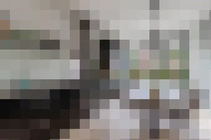 Smaragd 16 Drachten thumbnail 19