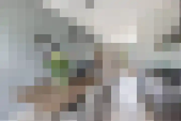 Smaragd 16 Drachten thumbnail 23