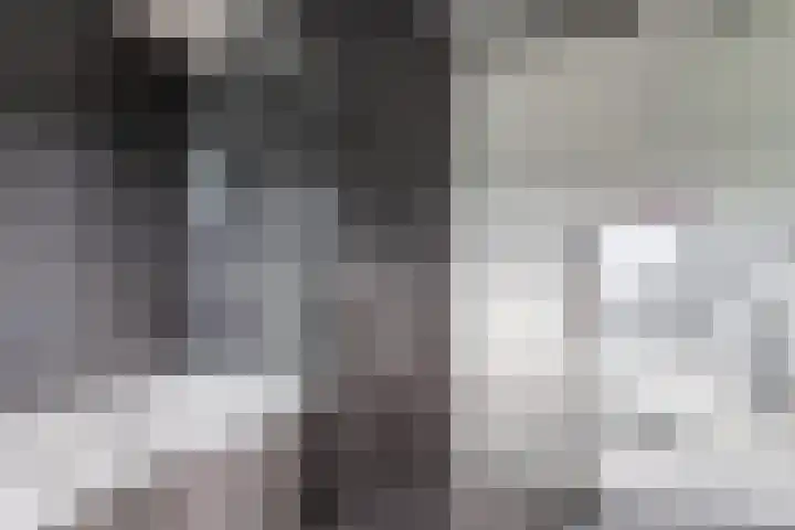 Smaragd 16 Drachten thumbnail 31