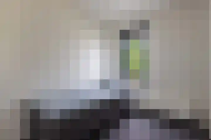Smaragd 16 Drachten thumbnail 34
