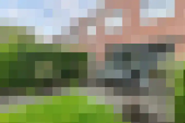 Smaragd 16 Drachten thumbnail 4