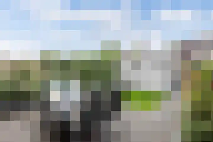 Smaragd 16 Drachten thumbnail 43