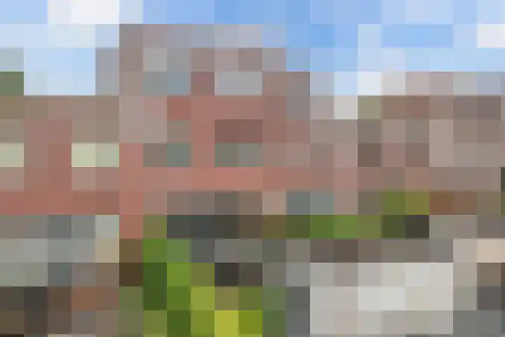 Smaragd 16 Drachten thumbnail 47