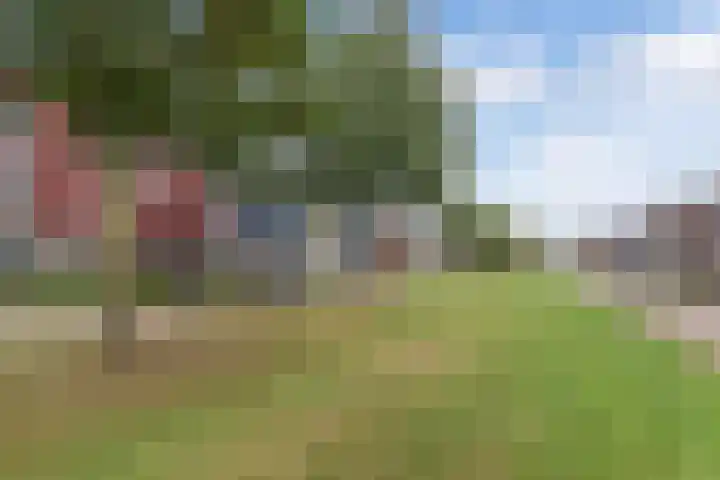 Smaragd 16 Drachten thumbnail 5