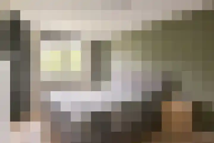 Smaragd 33 Mijdrecht thumbnail 15