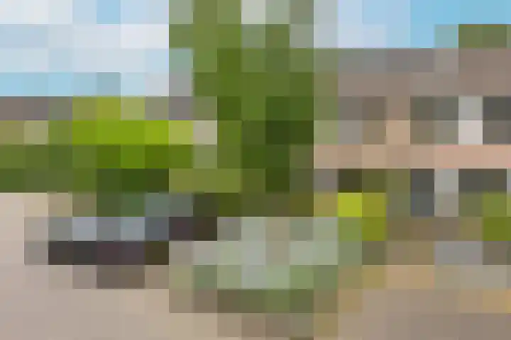 Smaragd 33 Mijdrecht thumbnail 30