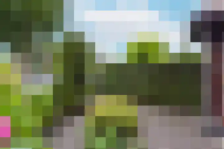 Smaragd 33 Mijdrecht thumbnail 33