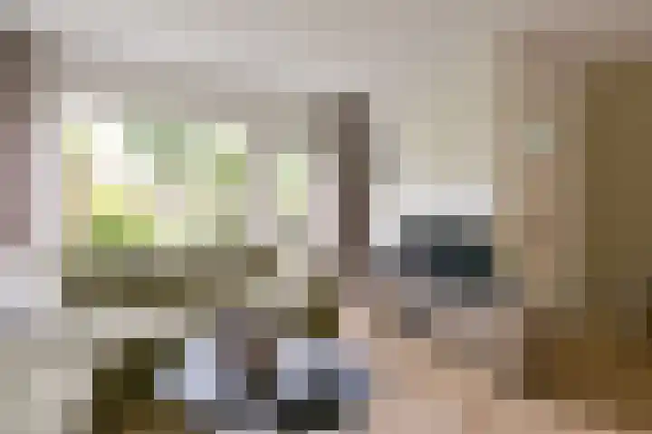 Smaragd 33 Mijdrecht thumbnail 5