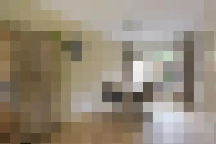 Smaragd 33 Mijdrecht thumbnail 7