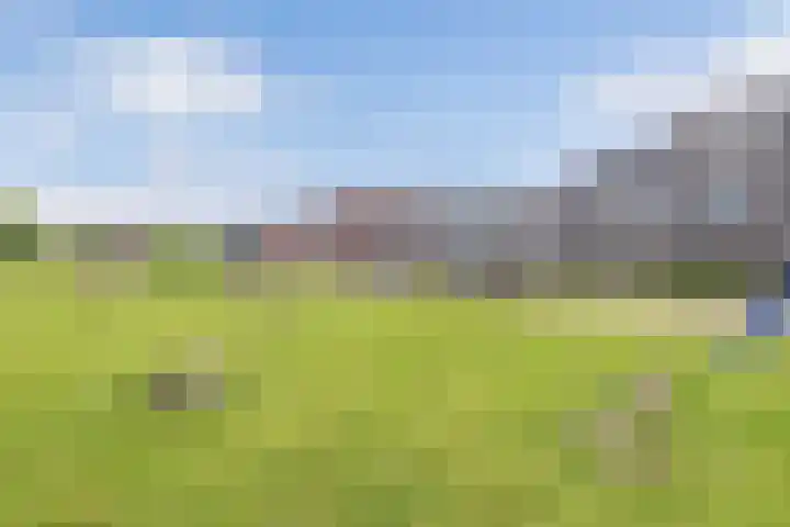 Smaragd 76 Drachten thumbnail 35