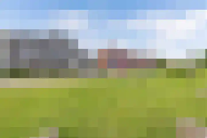 Smaragd 76 Drachten thumbnail 36