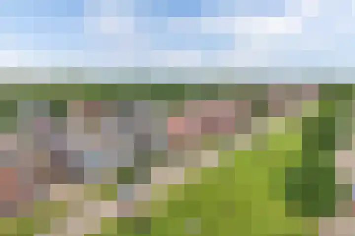 Smaragd 76 Drachten thumbnail 4