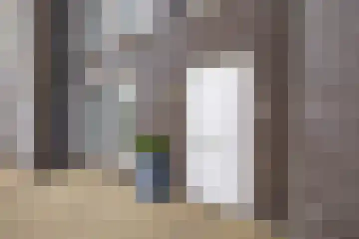 Smaragd 76 Drachten thumbnail 6