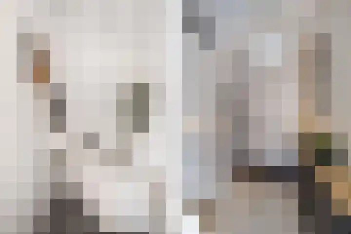 Smaragd 76 Drachten thumbnail 7