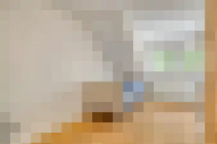 Smaragddijk 2 Roosendaal thumbnail 21