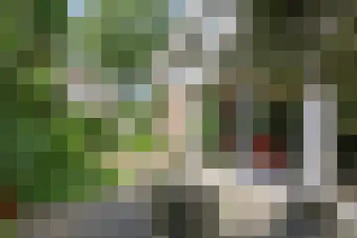 Smaragddijk 2 Roosendaal thumbnail 30