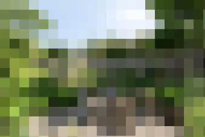 Smaragddijk 2 Roosendaal thumbnail 31