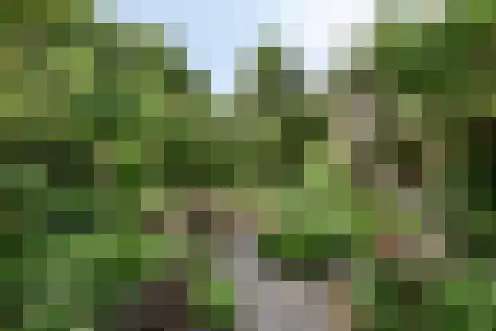 Smaragddijk 2 Roosendaal thumbnail 33