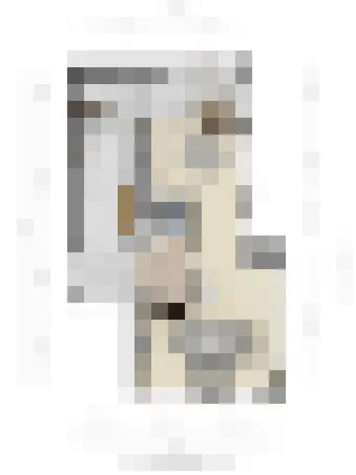 Smaragddijk 2 Roosendaal thumbnail 37