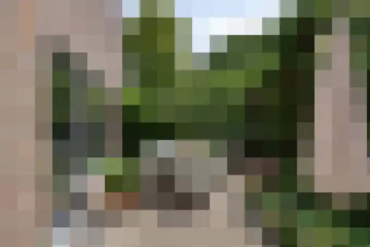 Smaragddijk 2 Roosendaal thumbnail 4