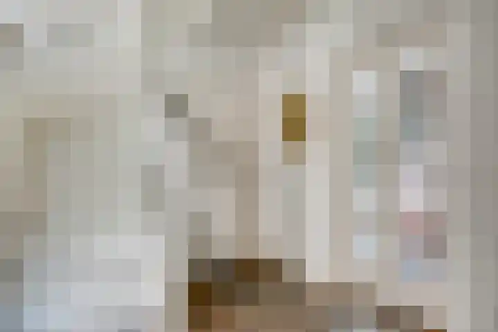 Smaragddijk 2 Roosendaal thumbnail 6