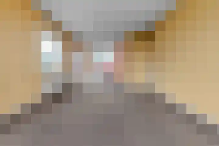 Smaragdhorst 163 Den Haag thumbnail 7