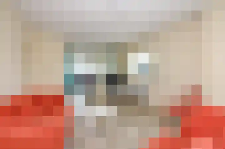 Smaragdhorst 209 Den Haag thumbnail 11