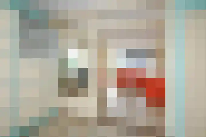 Smaragdhorst 209 Den Haag thumbnail 16