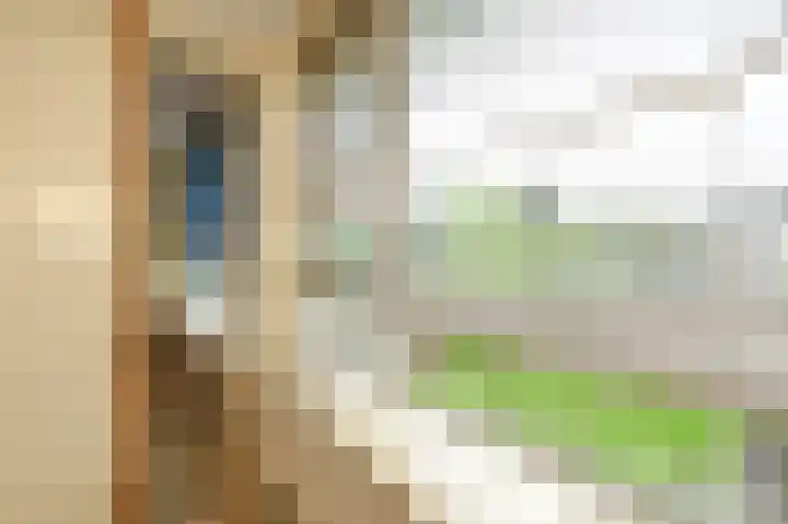 Smaragdhorst 209 Den Haag thumbnail 24