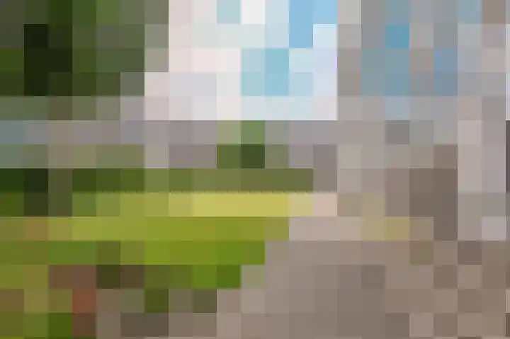 Smaragdhorst 209 Den Haag thumbnail 34