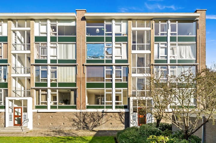 Smaragdhorst 291 in 's-Gravenhage foto