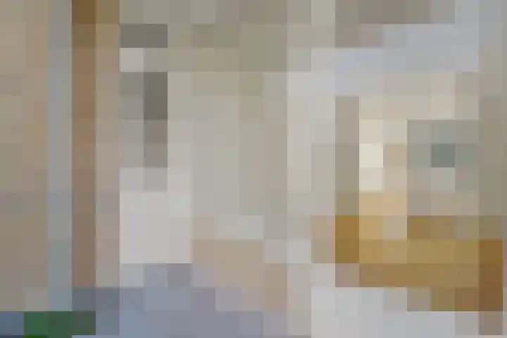Smaragdhorst 291 Den Haag thumbnail 10