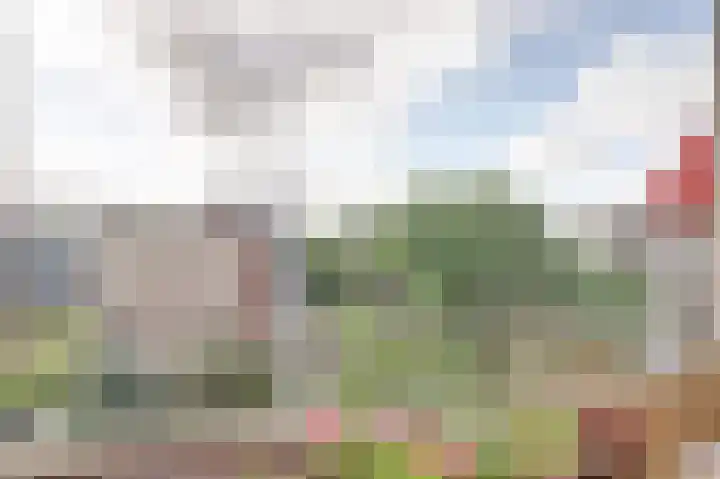 Smaragdhorst 96 Den Haag thumbnail 15