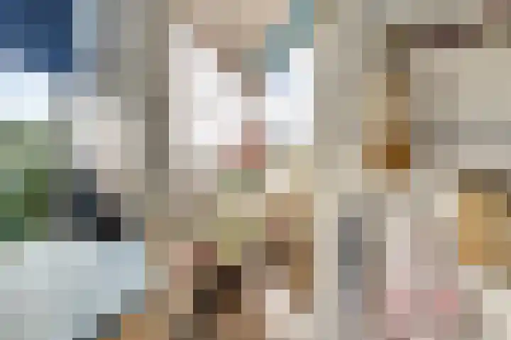 Smaragdhorst 96 Den Haag thumbnail 18