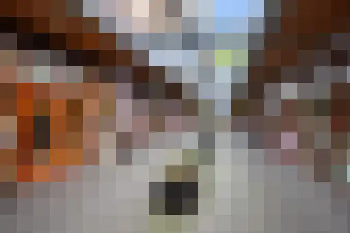 Smaragdplein 183 Utrecht thumbnail 30