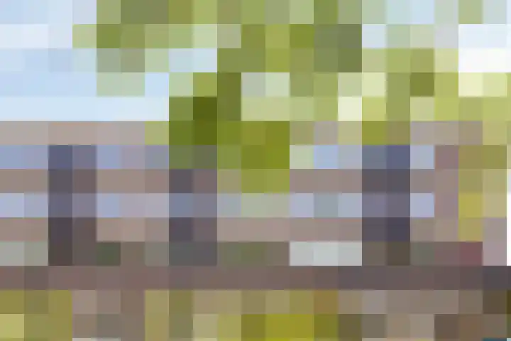 Smaragdplein 183 Utrecht thumbnail 35