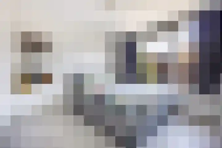Smaragdstraat 14 Breda thumbnail 21